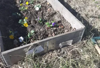 Jardin à bulbes Saint-Joseph