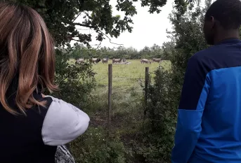 Les MNA en visite dans un élevage