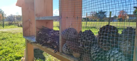 Pota'Jo - Saint Joseph à Blanquefort