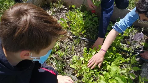 Pota'Jo - Saint Joseph à Blanquefort